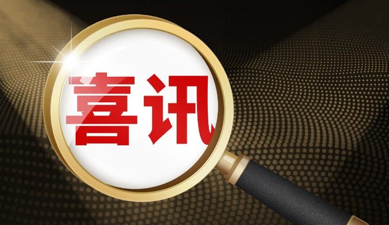 新功能上线：TikTok账户健康报告，保护卖家免受违规困扰